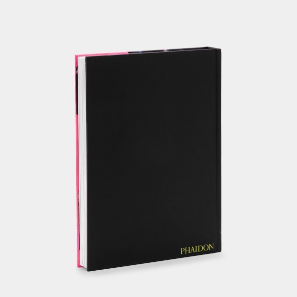 Harland Miller: In Shadows I Boogie Phaidon Book For Cheap - Image 5